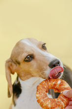 Load image into Gallery viewer, Mr. Giggles GPP0823001 Donut Hide Wrapped with Chicken Jerky Dog Treats 50g (3packs)