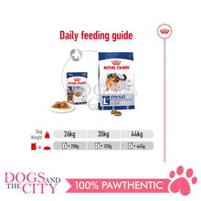 Load image into Gallery viewer, Royal Canin Shn Maxi Adult Wet Dog Food 140gx10pcs