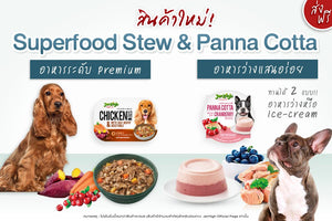 Jerhigh Panna Cotta Pudding Dog Mousse Ice Cream Dog Snacks Treats 70g