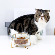 Load image into Gallery viewer, DGZ Nordic Glass Pet Bowl Small 450ml With Gold Iron Stand 15cmx10cmx8cm for Dog and Cat