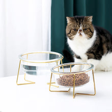 Load image into Gallery viewer, DGZ Nordic Glass Pet Bowl Small 450ml With Gold Iron Stand 15cmx10cmx8cm for Dog and Cat