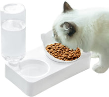 Load image into Gallery viewer, MRCT Automatic Pets Water Feeder with Rotating Tilted Cat/Dog Bowl Small 25x24.5x13.9cm - Dogs And The City Online