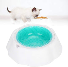 Load image into Gallery viewer, SLP Frosty Water Food Chilling Cooling Pet Bowl for Dog and Cat 16 oz 23x23x6cm