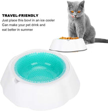Load image into Gallery viewer, SLP Frosty Water Food Chilling Cooling Pet Bowl for Dog and Cat 16 oz 23x23x6cm