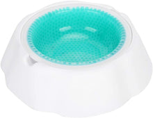 Load image into Gallery viewer, SLP Frosty Water Food Chilling Cooling Pet Bowl for Dog and Cat 16 oz 23x23x6cm