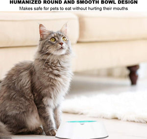 SLP Frosty Water Food Chilling Cooling Pet Bowl for Dog and Cat 16 oz 23x23x6cm