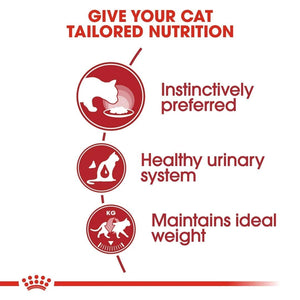 Royal Canin Feline Indoor 7+ Cat Food 1.5kg - Dogs And The City Online