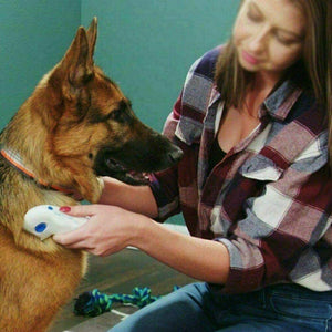 DGZ Pet Flea Doctor Electronic Anti Flea Comb for Dog and Cat Battery Operated