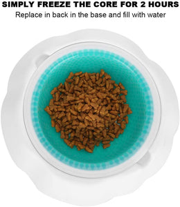 SLP Frosty Water Food Chilling Cooling Pet Bowl for Dog and Cat 16 oz 23x23x6cm