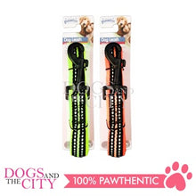 Load image into Gallery viewer, PAWISE  13176 Dog Reflective Soft Leash - Green 25mm*120cm