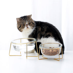 DGZ Nordic Glass Pet Bowl Small 450ml With Gold Iron Stand 15cmx10cmx8cm for Dog and Cat