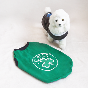 DOGGIE STAR T-Shirt Celtics Green