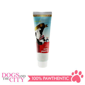 DGZ Dental Care Pet Tooth Paste Beef Flavor 95g