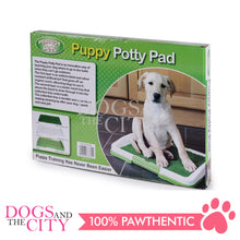 Load image into Gallery viewer, DGZ CPC002 Puppy Potty Pad Easy To Clean Dog Toilet  with Lawn 47X34X6CM