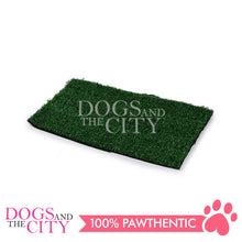 Load image into Gallery viewer, DGZ CPC002 Puppy Potty Pad Easy To Clean Dog Toilet  with Lawn 47X34X6CM