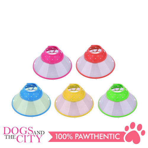 JX Elizabeth Colored Collar Small - All Goodies for Your Pet