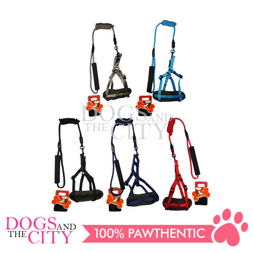 JX HJLH2001 1.0cm Pet Adjustable Harness with 0.6cm Round Leash Control for Small Dog and Cat