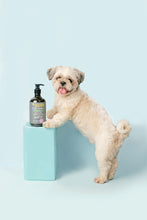 Load image into Gallery viewer, Mr. Giggles Shampoo &amp; Conditioner Fresh Morning 1000 ml for Dogs and Cats