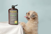 Load image into Gallery viewer, Mr. Giggles Shampoo &amp; Conditioner Fresh Morning 1000 ml for Dogs and Cats