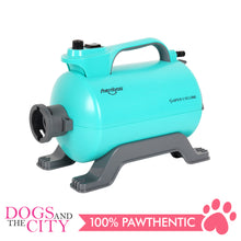 Load image into Gallery viewer, SHERNBAO SHD-2600P Super Cyclone Professional Pet Grooming Dryer or Blower Single Motor for Dog and Cat