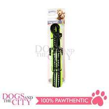 Load image into Gallery viewer, PAWISE  13176 Dog Reflective Soft Leash - Green 25mm*120cm