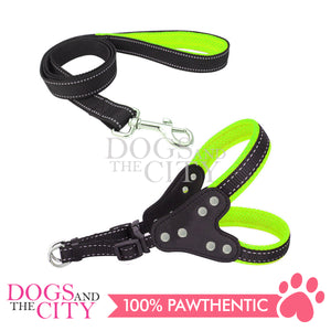 JX 2.5CM Adjustable Dog Harness and Leash With Leather Chest Pull for Medium Dog