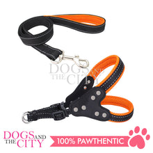 Load image into Gallery viewer, JX 2.0CM Adjustable Dog Harness and Leash With Leather Chest Pull for Small to Medium Dog