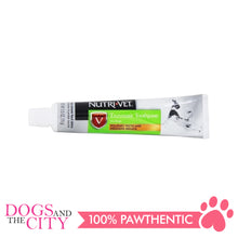 Load image into Gallery viewer, NutriVet Toothpaste for Dogs Chicken Flavor 70g