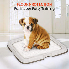 Load image into Gallery viewer, Pawise 11447 Pet Pee Pad Holder Large 60x60x3cm - Dogs And The City Online