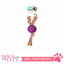 Load image into Gallery viewer, Pawise 14536 Dog Toy Tug-O-Play-Ball - All Goodies for Your Pet